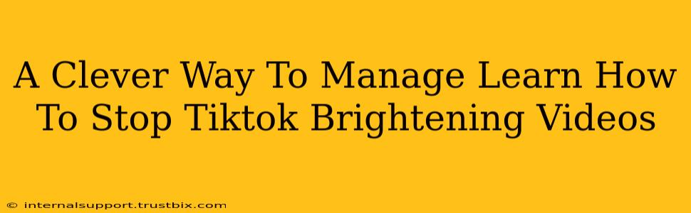 A Clever Way To Manage Learn How To Stop Tiktok Brightening Videos