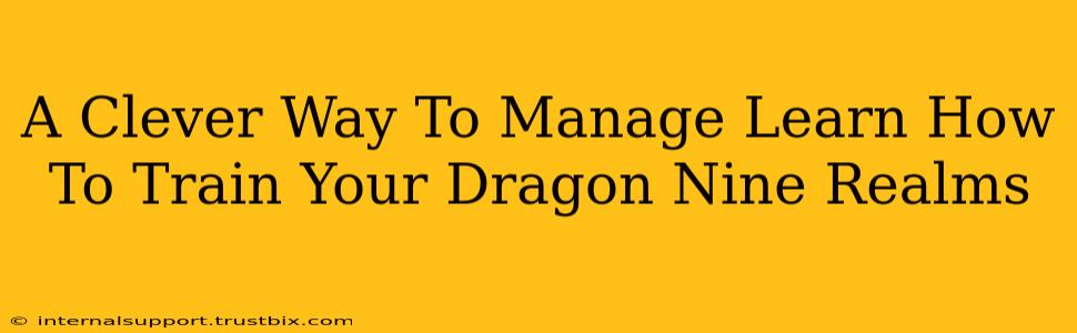 A Clever Way To Manage Learn How To Train Your Dragon Nine Realms