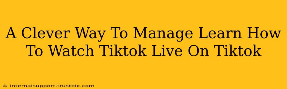 A Clever Way To Manage Learn How To Watch Tiktok Live On Tiktok