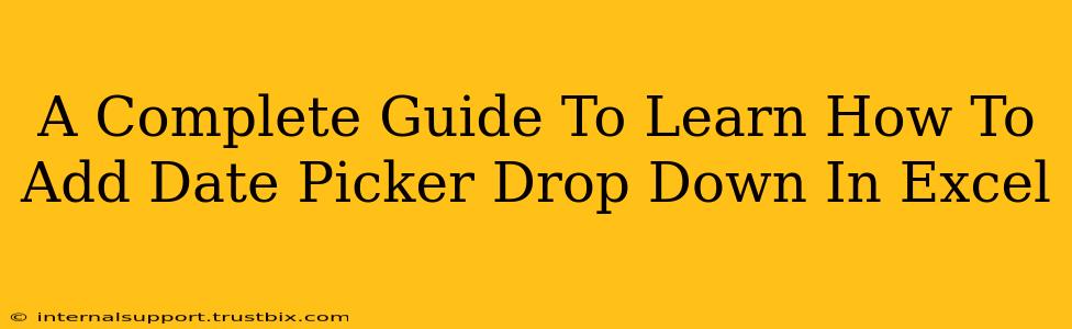 A Complete Guide To Learn How To Add Date Picker Drop Down In Excel