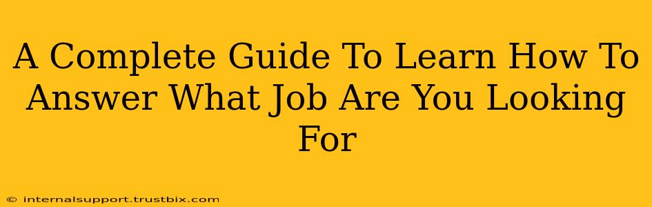 A Complete Guide To Learn How To Answer What Job Are You Looking For