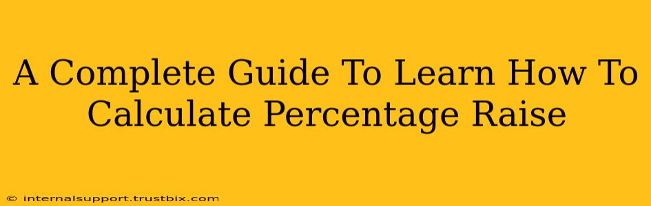 A Complete Guide To Learn How To Calculate Percentage Raise