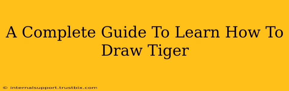 A Complete Guide To Learn How To Draw Tiger