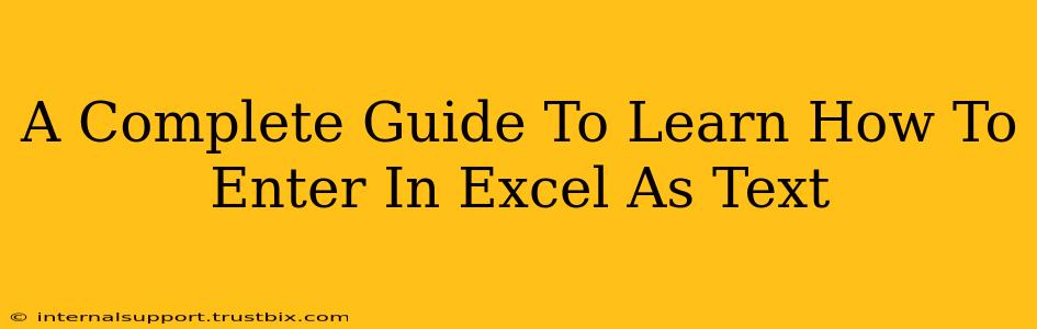 A Complete Guide To Learn How To Enter In Excel As Text