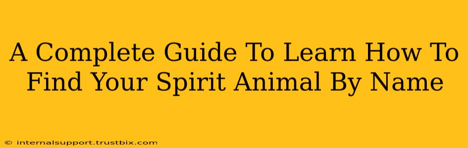 A Complete Guide To Learn How To Find Your Spirit Animal By Name