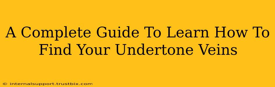 A Complete Guide To Learn How To Find Your Undertone Veins