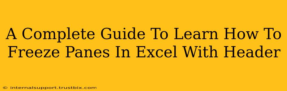 A Complete Guide To Learn How To Freeze Panes In Excel With Header