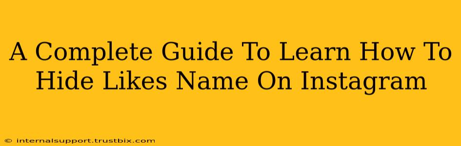 A Complete Guide To Learn How To Hide Likes Name On Instagram