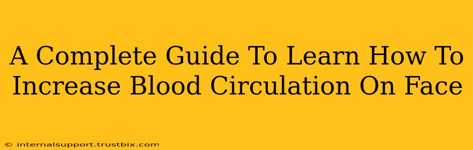 A Complete Guide To Learn How To Increase Blood Circulation On Face