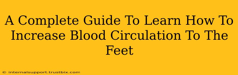 A Complete Guide To Learn How To Increase Blood Circulation To The Feet