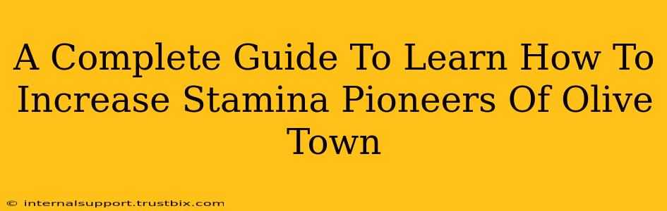 A Complete Guide To Learn How To Increase Stamina Pioneers Of Olive Town