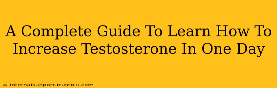 A Complete Guide To Learn How To Increase Testosterone In One Day