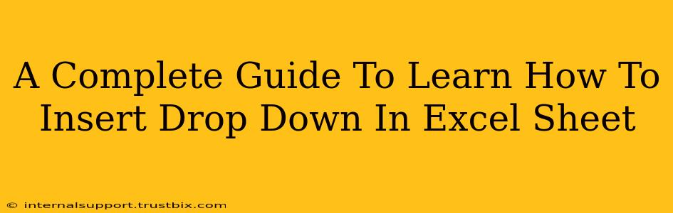 A Complete Guide To Learn How To Insert Drop Down In Excel Sheet