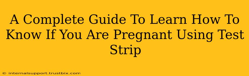 A Complete Guide To Learn How To Know If You Are Pregnant Using Test Strip