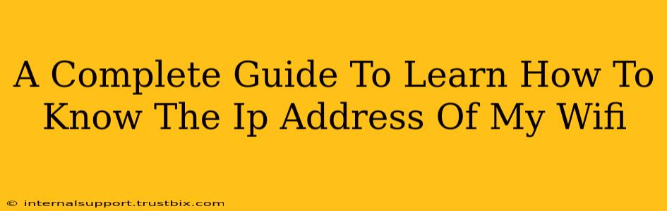 A Complete Guide To Learn How To Know The Ip Address Of My Wifi