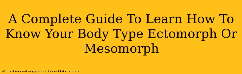 A Complete Guide To Learn How To Know Your Body Type Ectomorph Or Mesomorph