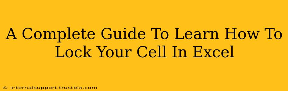 A Complete Guide To Learn How To Lock Your Cell In Excel