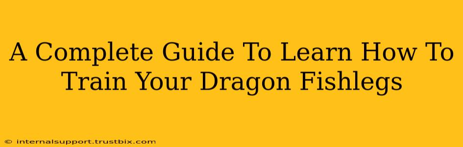 A Complete Guide To Learn How To Train Your Dragon Fishlegs