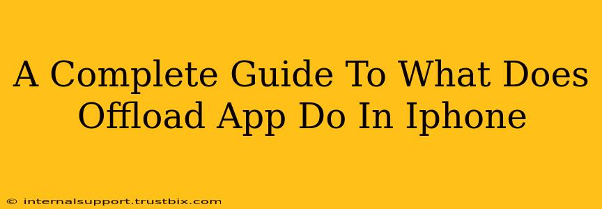 A Complete Guide To What Does Offload App Do In Iphone