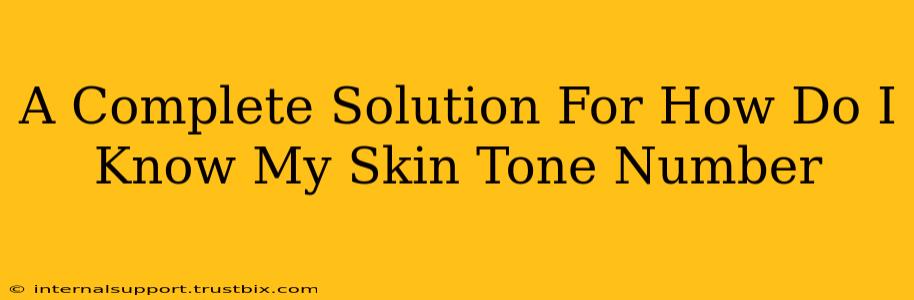 A Complete Solution For How Do I Know My Skin Tone Number