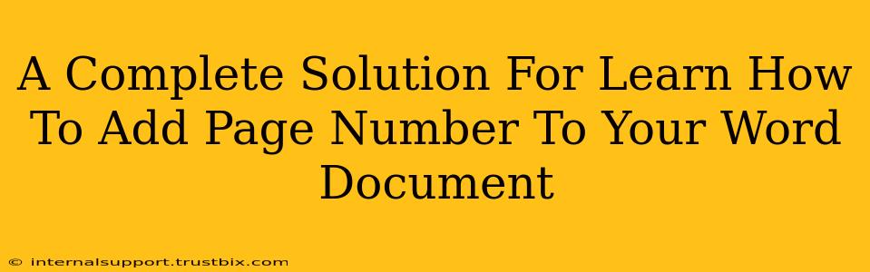 A Complete Solution For Learn How To Add Page Number To Your Word Document