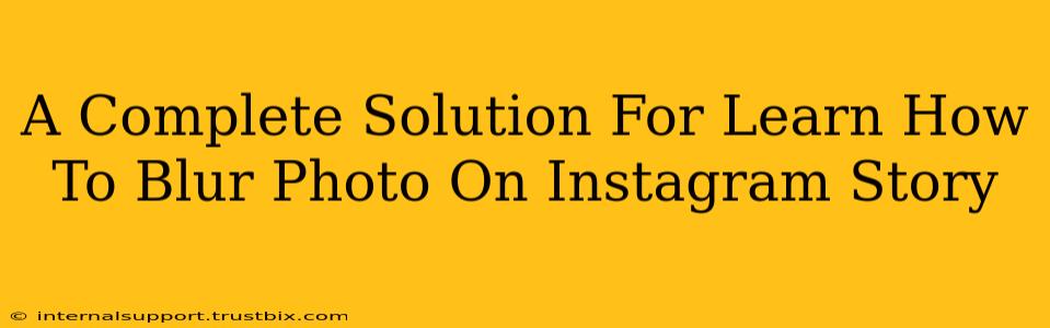 A Complete Solution For Learn How To Blur Photo On Instagram Story