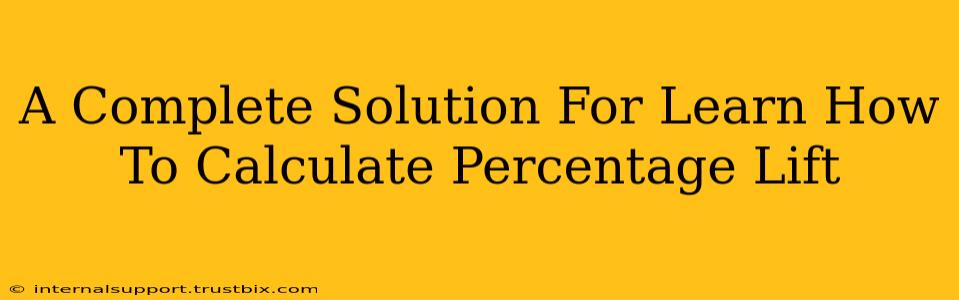 A Complete Solution For Learn How To Calculate Percentage Lift