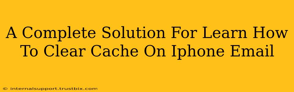 A Complete Solution For Learn How To Clear Cache On Iphone Email