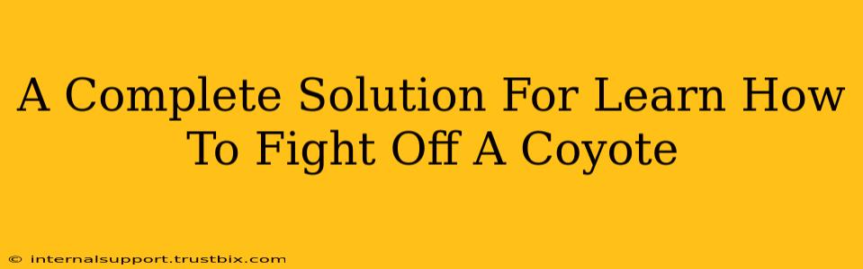 A Complete Solution For Learn How To Fight Off A Coyote