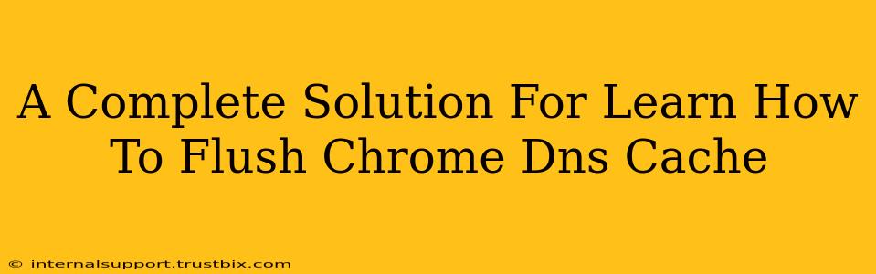 A Complete Solution For Learn How To Flush Chrome Dns Cache