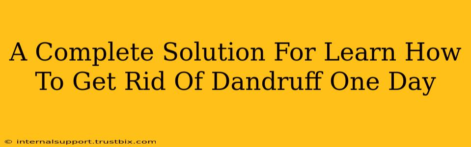 A Complete Solution For Learn How To Get Rid Of Dandruff One Day