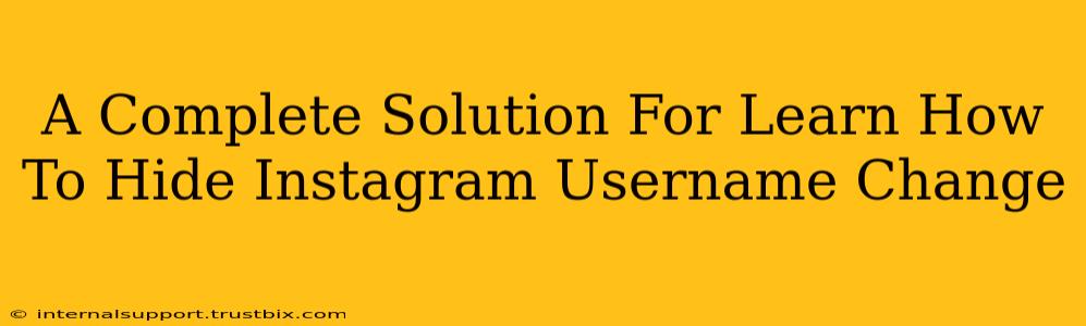 A Complete Solution For Learn How To Hide Instagram Username Change