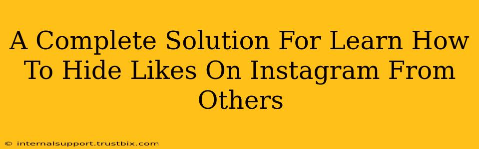 A Complete Solution For Learn How To Hide Likes On Instagram From Others