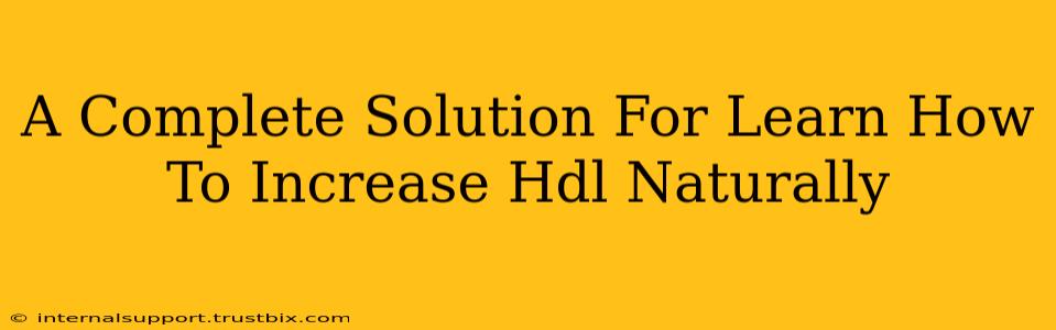 A Complete Solution For Learn How To Increase Hdl Naturally