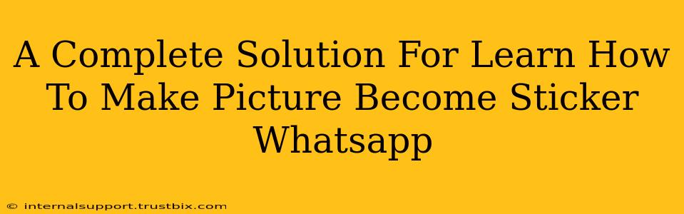 A Complete Solution For Learn How To Make Picture Become Sticker Whatsapp