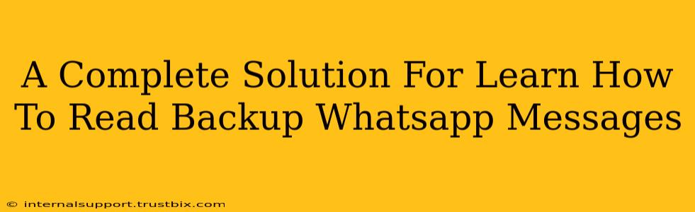 A Complete Solution For Learn How To Read Backup Whatsapp Messages