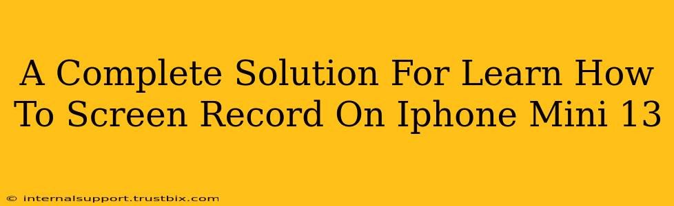 A Complete Solution For Learn How To Screen Record On Iphone Mini 13