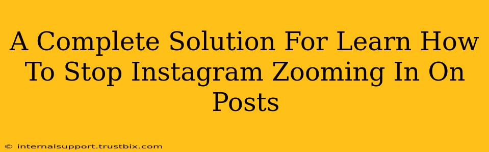 A Complete Solution For Learn How To Stop Instagram Zooming In On Posts