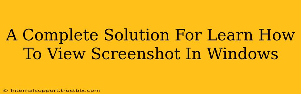 A Complete Solution For Learn How To View Screenshot In Windows