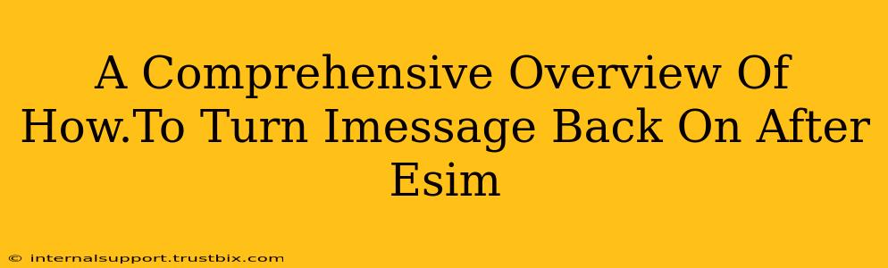 A Comprehensive Overview Of How.To Turn Imessage Back On After Esim