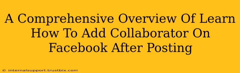 A Comprehensive Overview Of Learn How To Add Collaborator On Facebook After Posting