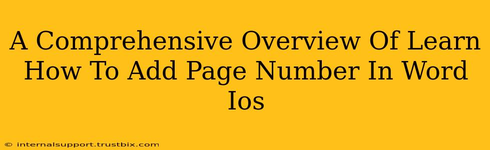 A Comprehensive Overview Of Learn How To Add Page Number In Word Ios