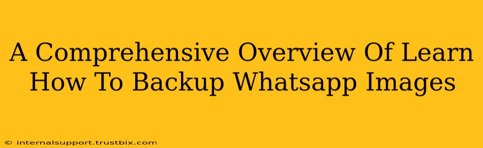 A Comprehensive Overview Of Learn How To Backup Whatsapp Images