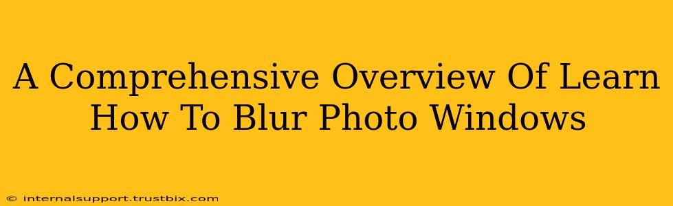 A Comprehensive Overview Of Learn How To Blur Photo Windows