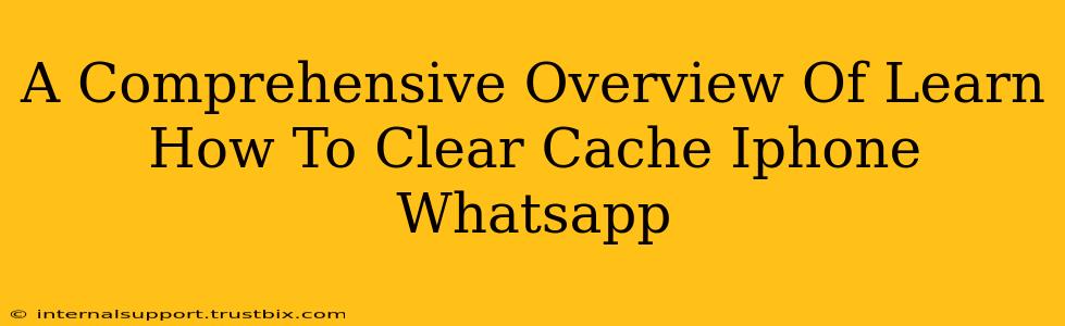 A Comprehensive Overview Of Learn How To Clear Cache Iphone Whatsapp