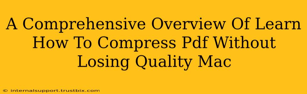 A Comprehensive Overview Of Learn How To Compress Pdf Without Losing Quality Mac