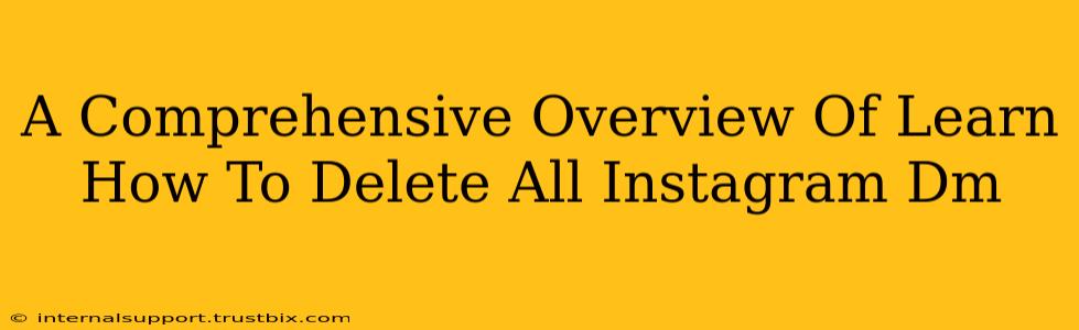 A Comprehensive Overview Of Learn How To Delete All Instagram Dm
