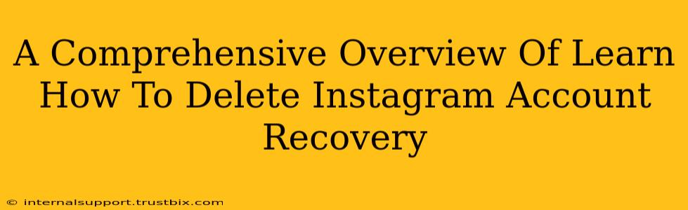 A Comprehensive Overview Of Learn How To Delete Instagram Account Recovery