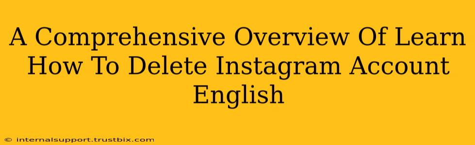 A Comprehensive Overview Of Learn How To Delete Instagram Account English