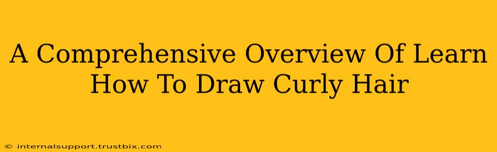 A Comprehensive Overview Of Learn How To Draw Curly Hair